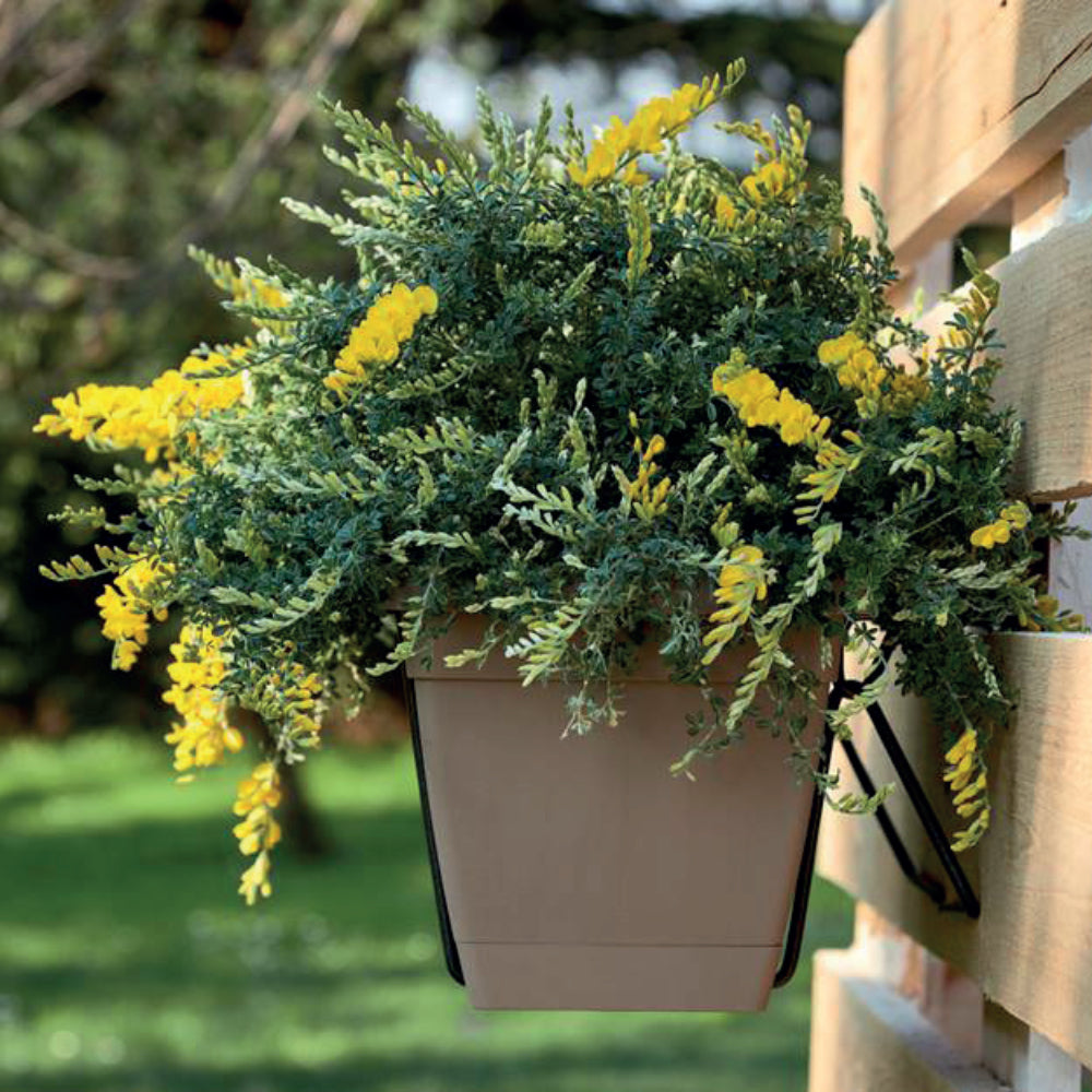 Jardinera Prime Antracita 40cm