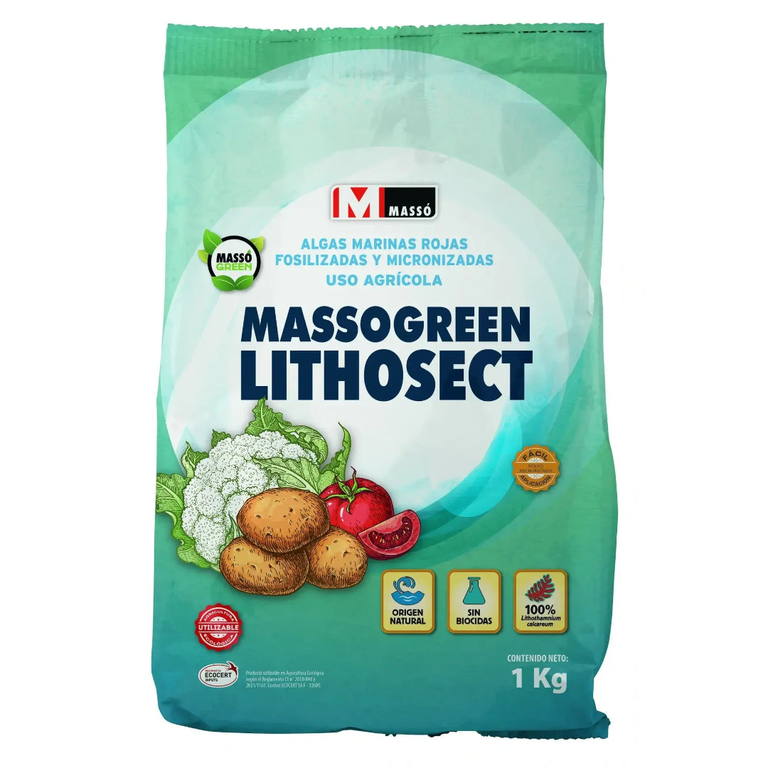 LITHOSECT_massogreen