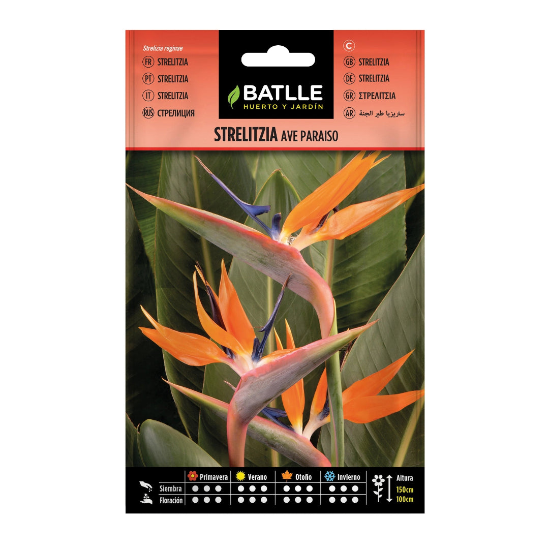 strelitzia_ave_paraiso