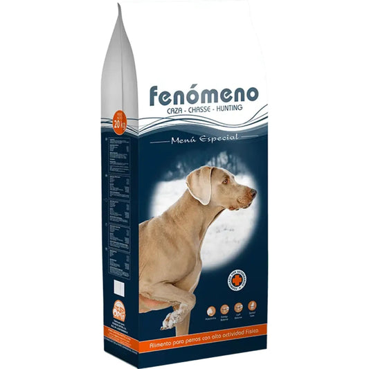 Fenomeno