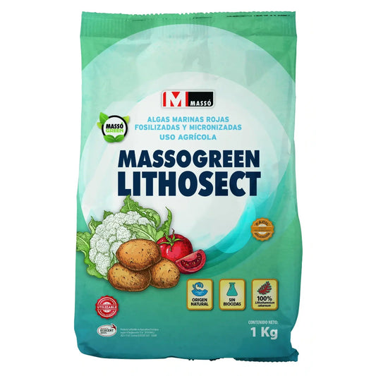 LITHOSECT_massogreen