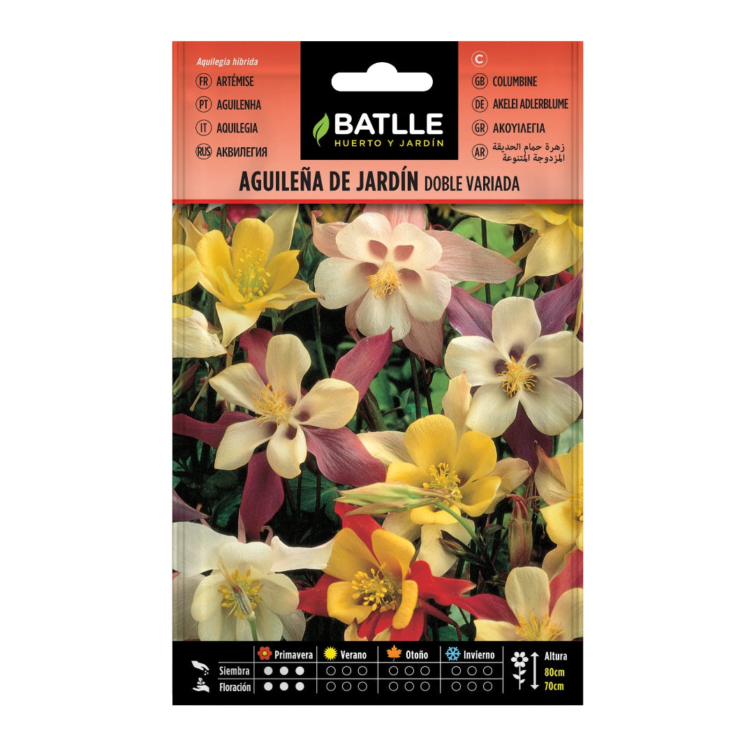 aguilena_de_jardin_doble_variada