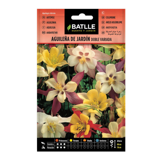 aguilena_de_jardin_doble_variada