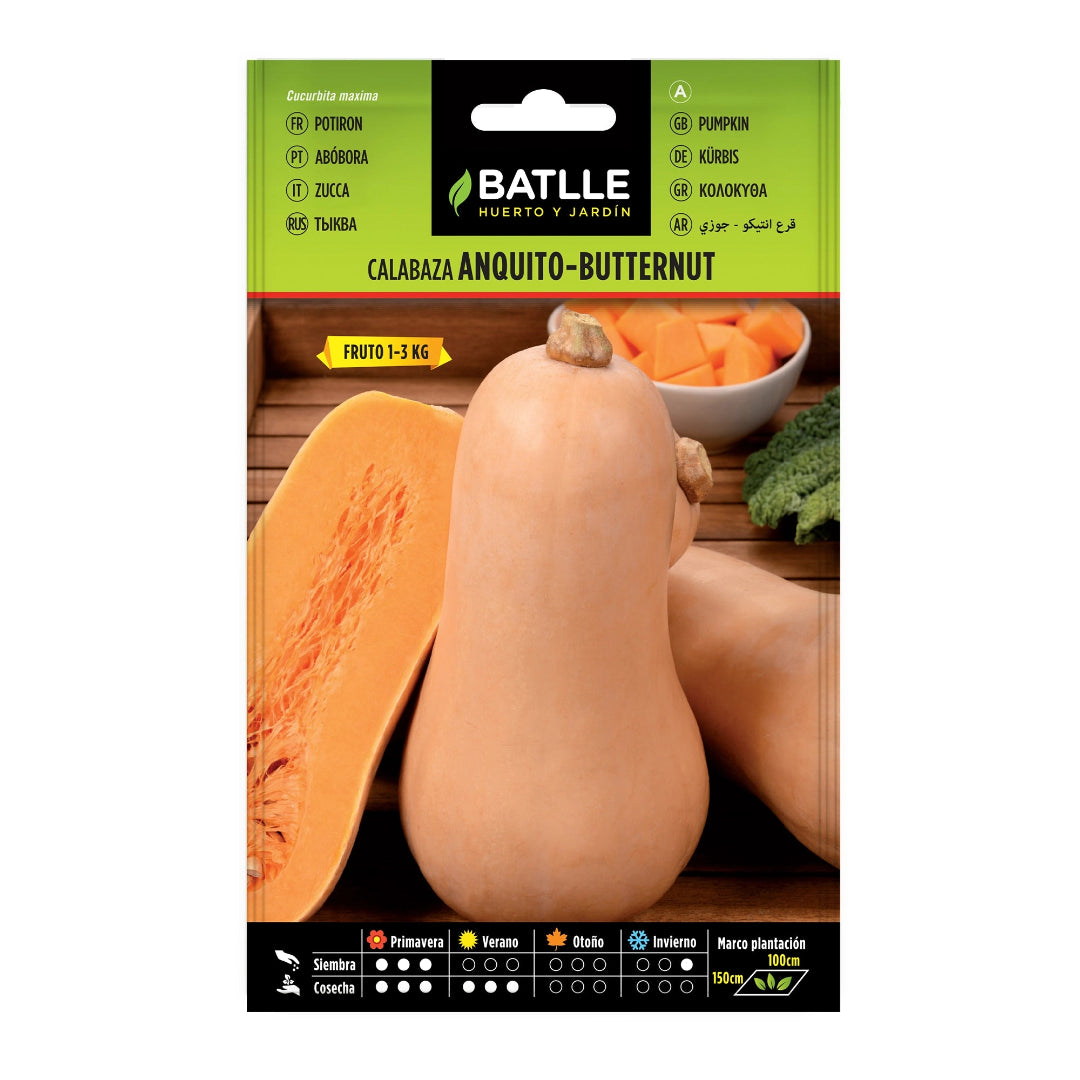calabaza_anquito_butternut