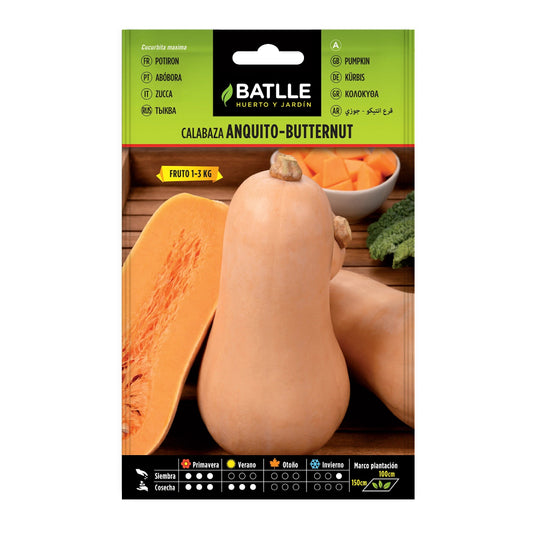 calabaza_anquito_butternut