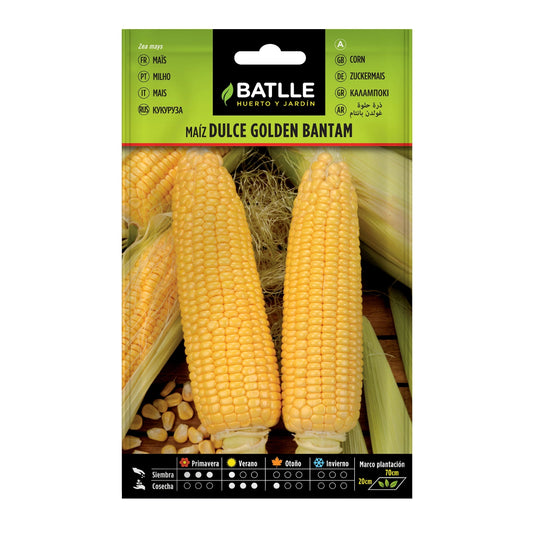 maiz_golden_bantam
