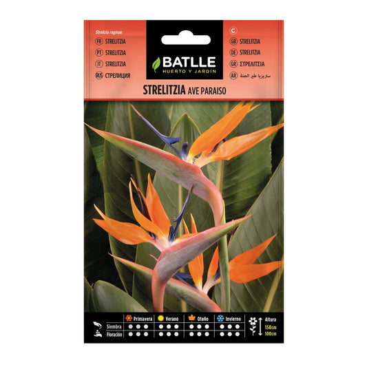 strelitzia_ave_paraiso