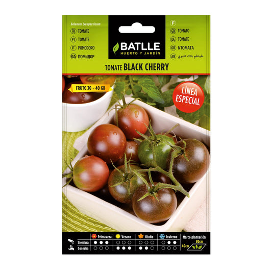tomate_black_cherry