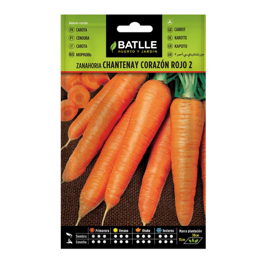 zanahoria_chantenay_c_rojo_2